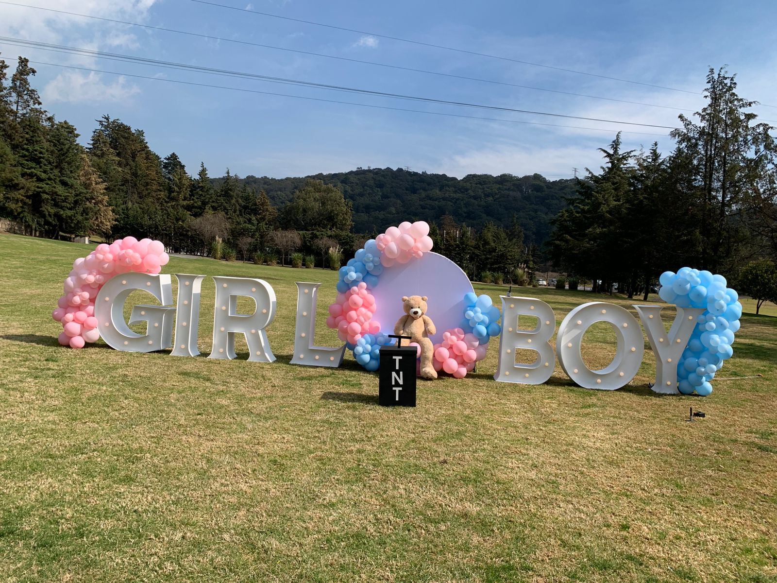 Decoración con globos azul bebé, rosa y blanco con letras LED para revelación de género con letras GIRL BOY - Perfect Party