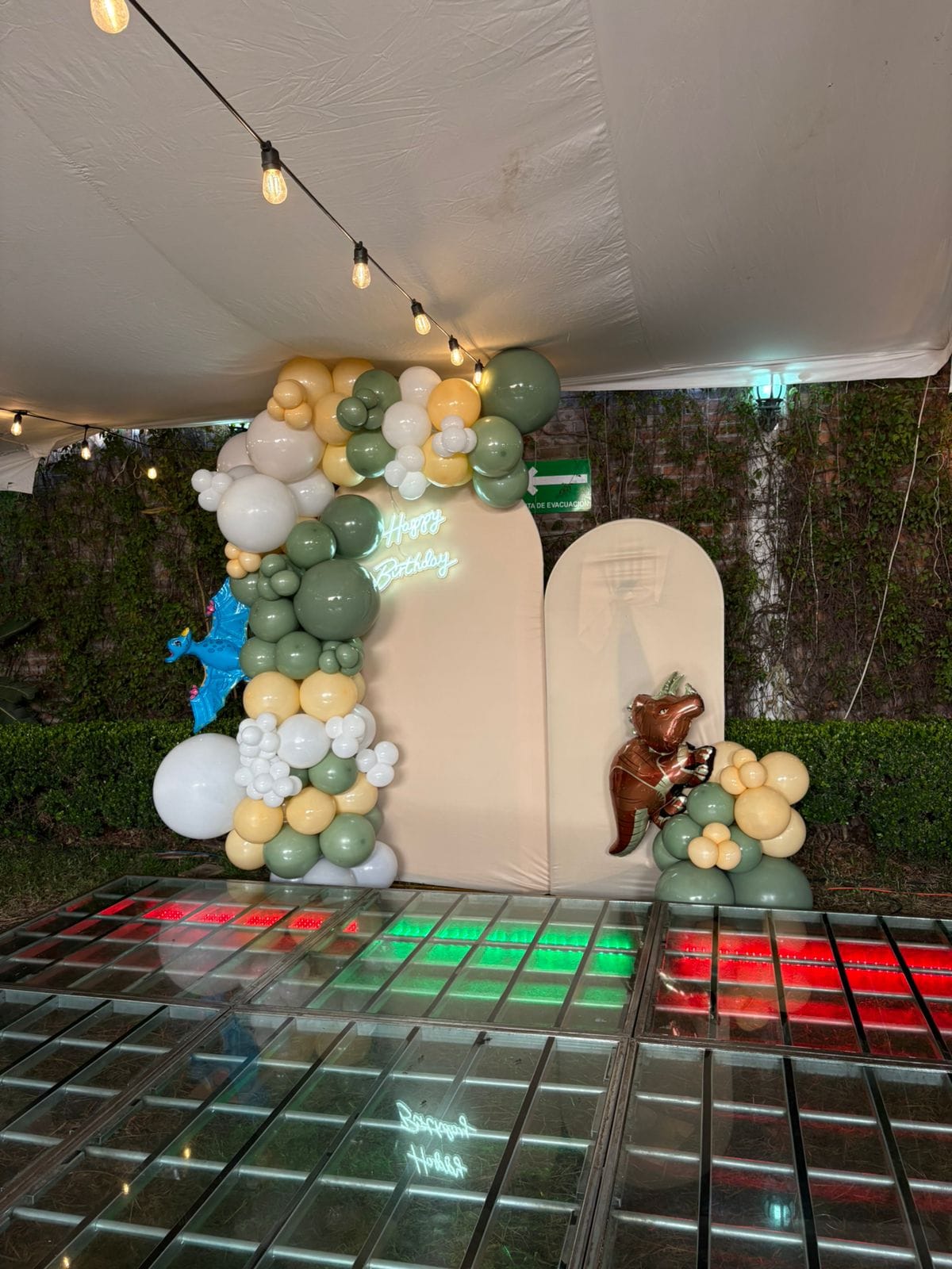 Mampara con globos verde salvia, azul y blanco con letrero Happy Birthday para cumpleaños - Perfect Party